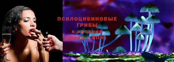 таблы Козловка