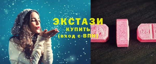 ECSTASY Костерёво