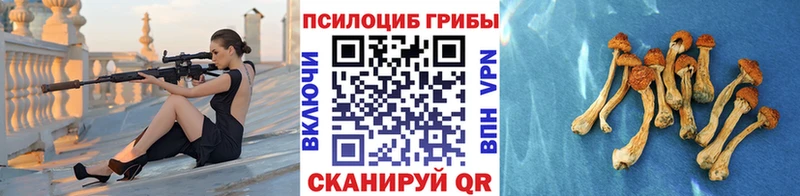 Галлюциногенные грибы прущие грибы  Купить где  Бакал 